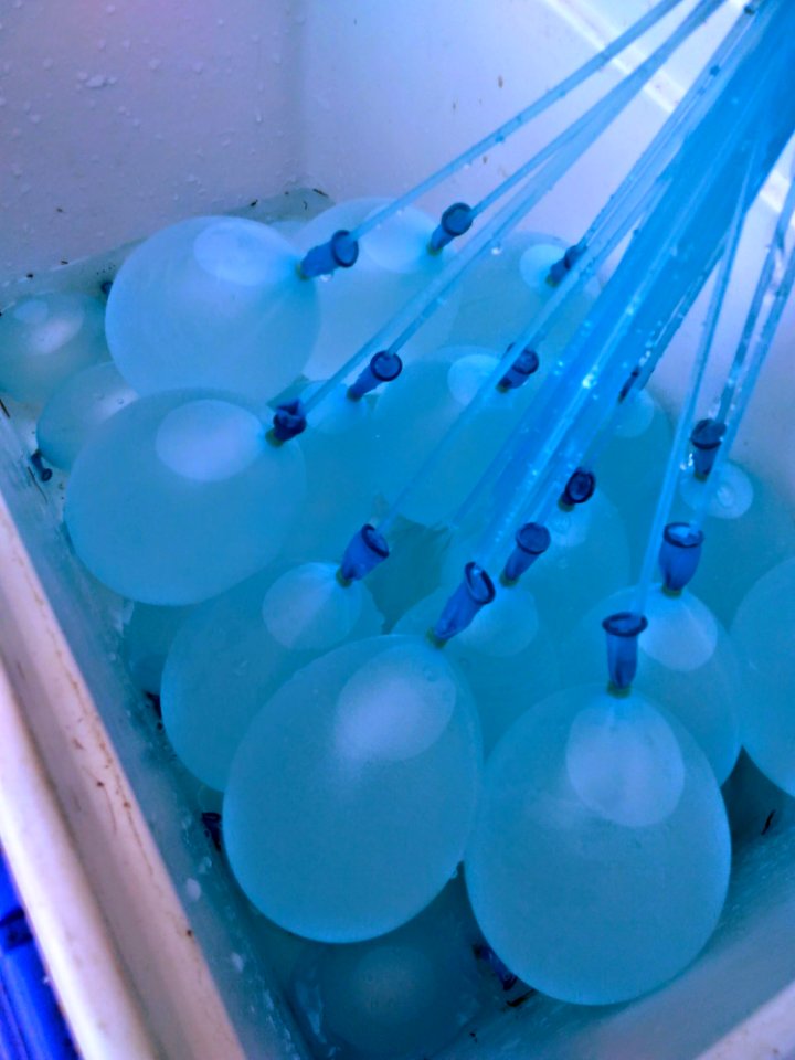 Blue Water Aqua Azure