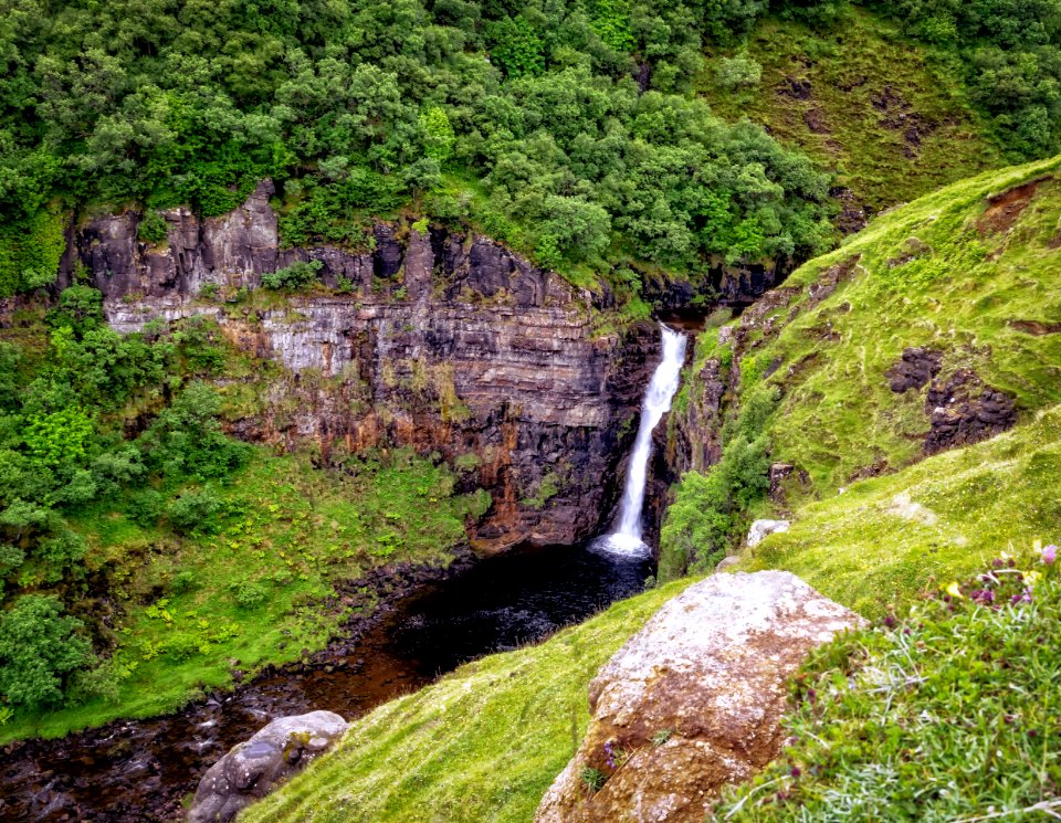 Waterfall Nature Nature Reserve Vegetation