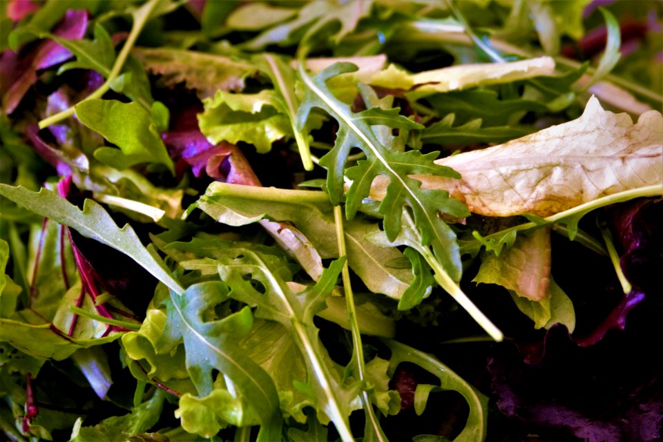Leaf Leaf Vegetable Vegetable Spring Greens