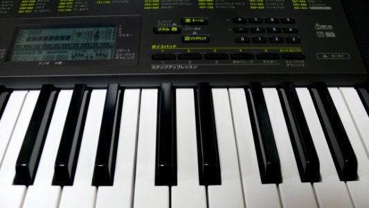 Musical Instrument Electronic Instrument Keyboard Digital Piano