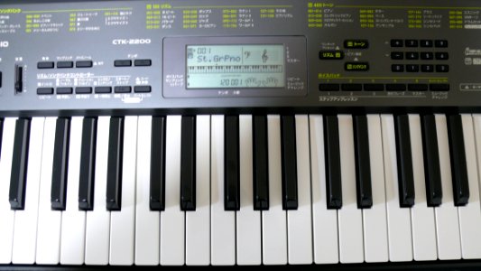 Musical Instrument Electronic Instrument Keyboard Digital Piano photo