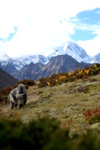 Mountainous Landforms Mountain Wilderness Sky