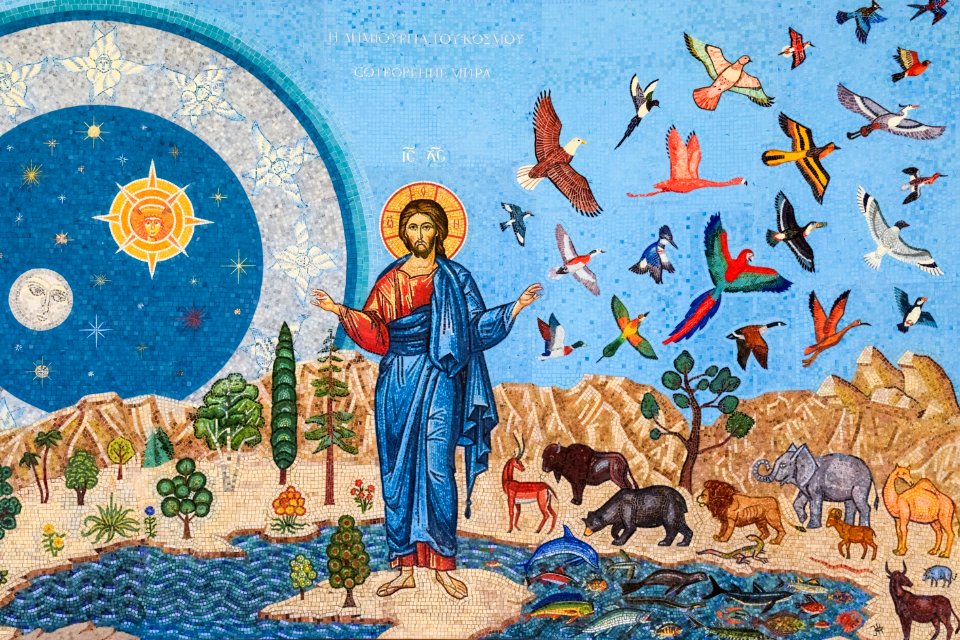 Art Fauna Tourism Illustration
