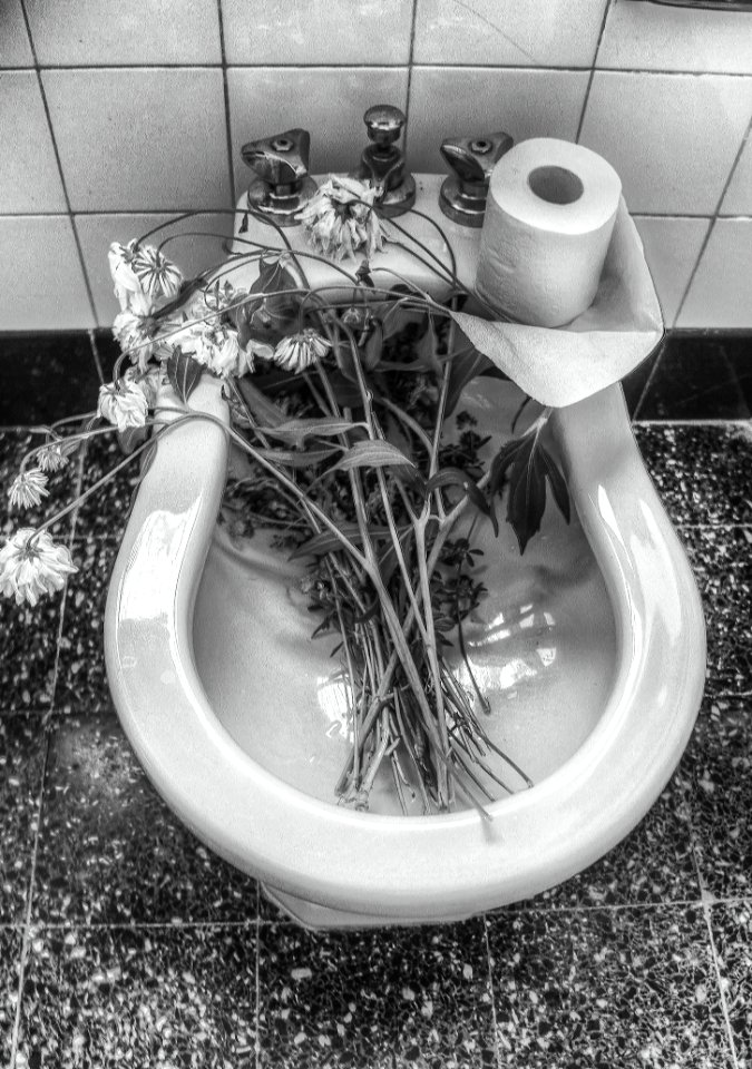 Black And White Monochrome Photography Plumbing Fixture Monochrome