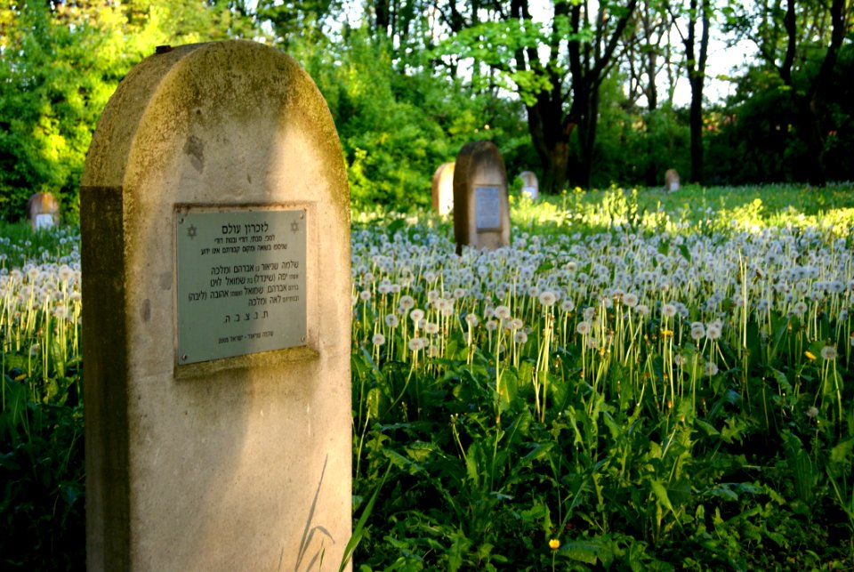 Grave Headstone Grass Cemetery