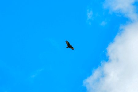 Sky Daytime Cloud Air Travel