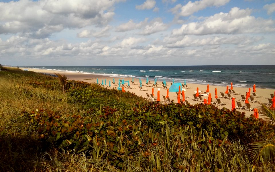 Coast Shore Beach Sea