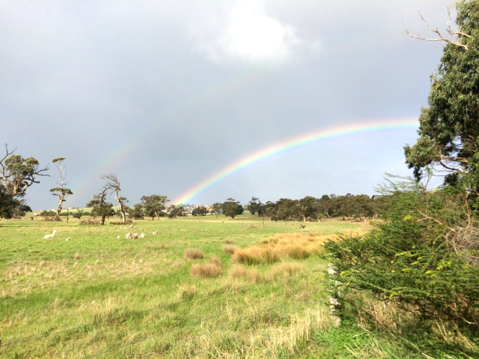 Rainbow Sky Meteorological Phenomenon Grassland