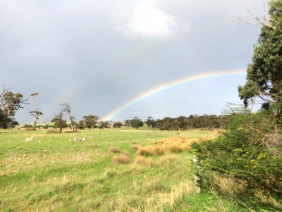 Rainbow Sky Meteorological Phenomenon Grassland