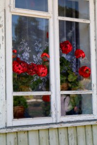 Flower Window Door House photo