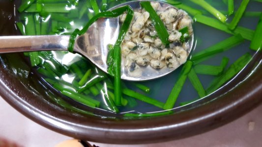 Dish Vegetarian Food Herb Plant