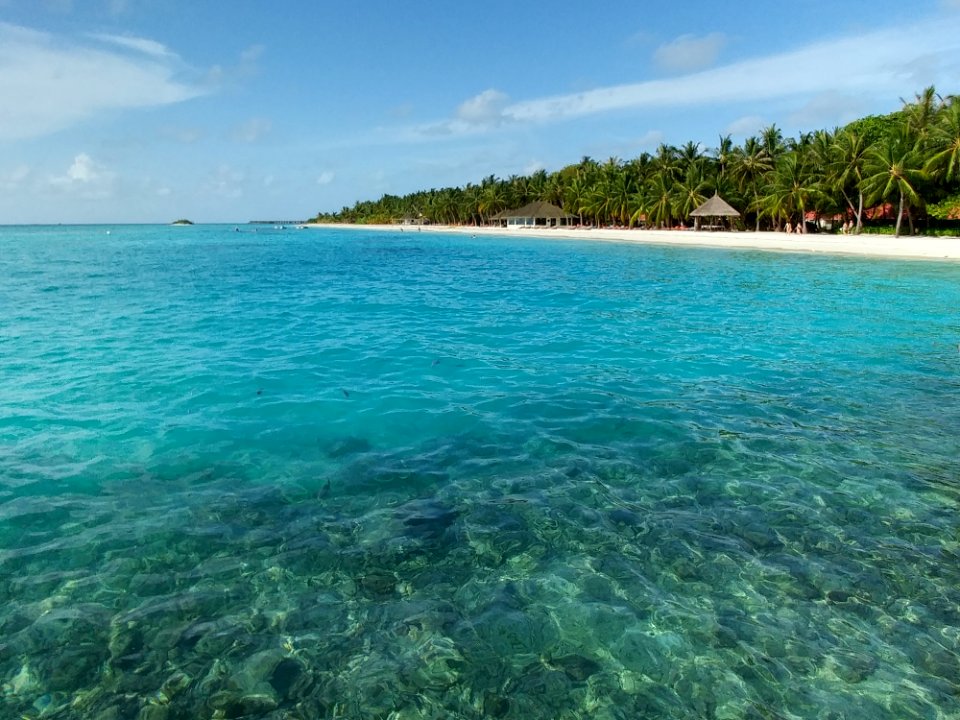 Sea Coastal And Oceanic Landforms Shore Ocean