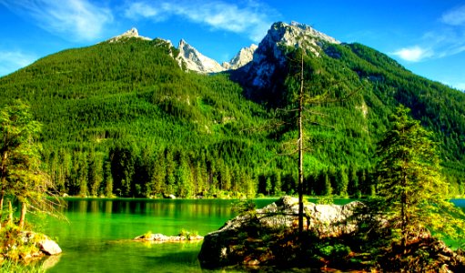Nature Wilderness Mount Scenery Nature Reserve