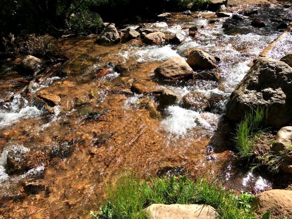 Water Body Of Water Stream Vegetation