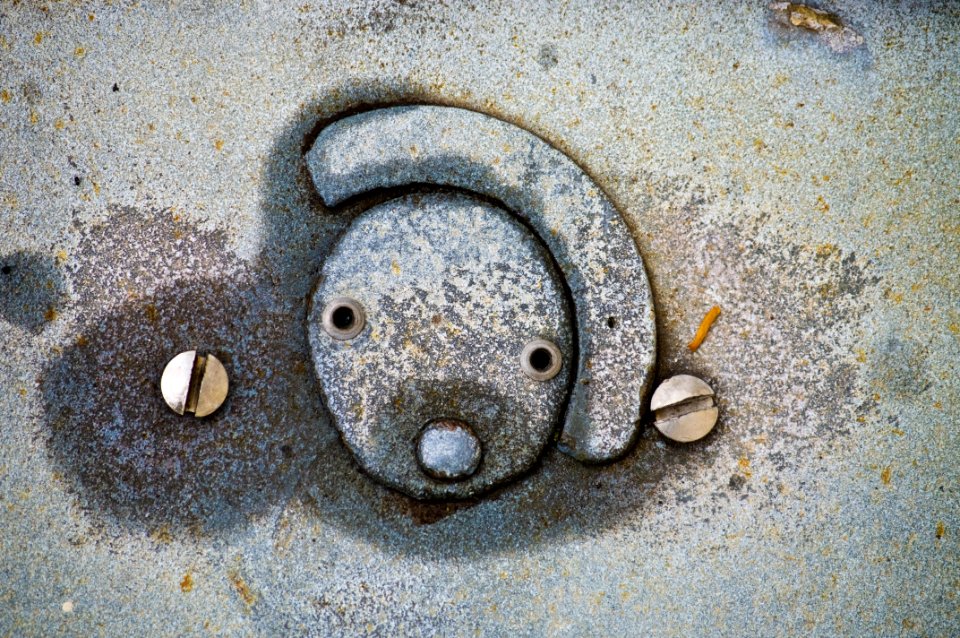 Organism Snout Metal Circle
