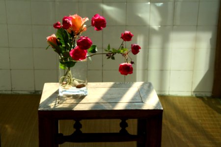 Flower Plant Table Floristry photo