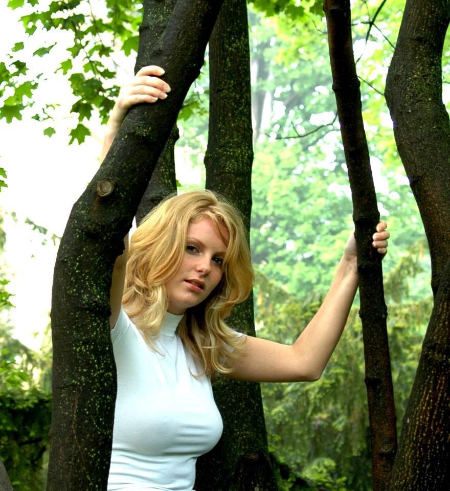 Hair Tree Green Woody Plant