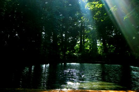 Water Nature Green Reflection