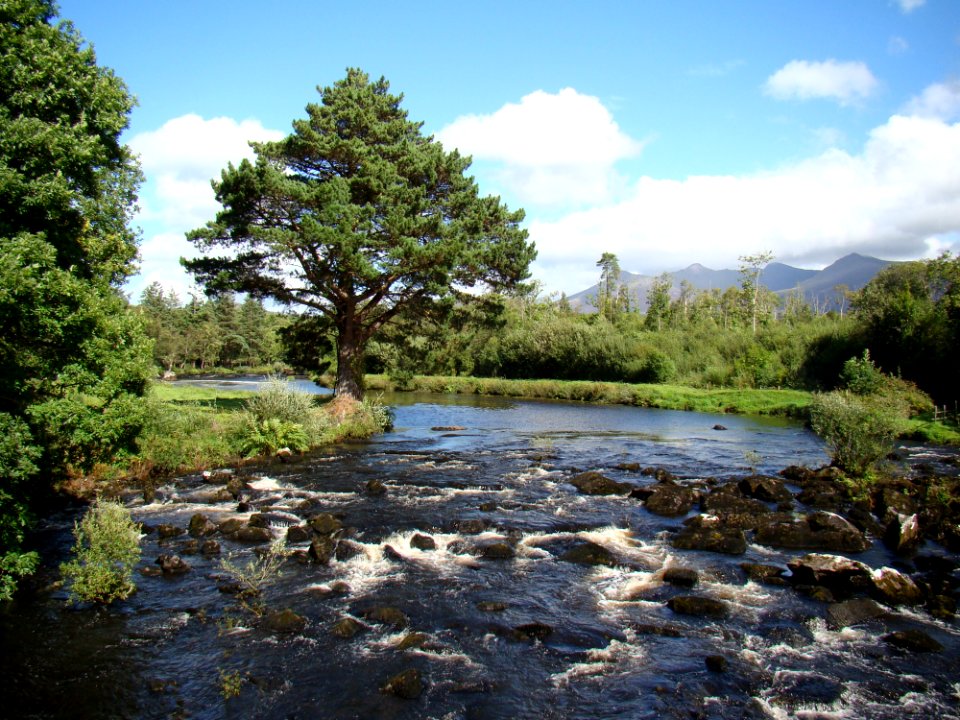 Nature Nature Reserve Water Wilderness