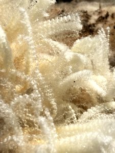 Water Wave Freezing