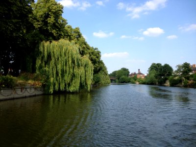 Waterway Water River Body Of Water