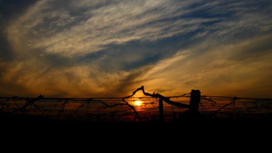 Sky Cloud Sunset Horizon