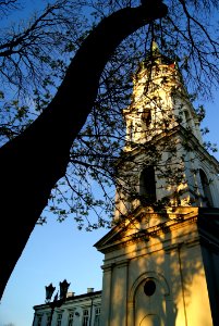 Sky Landmark Spire Tree