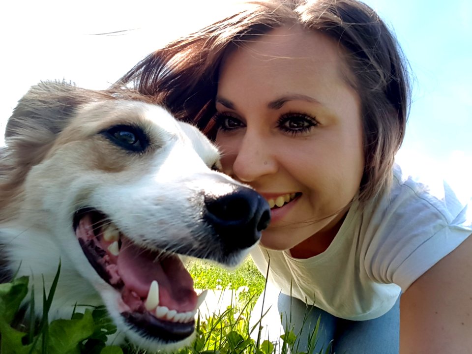 Dog Dog Breed Nose Borzoi