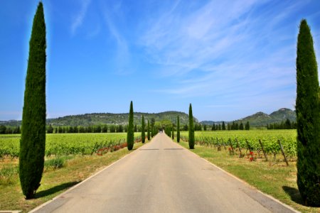 Sky Road Nature Field