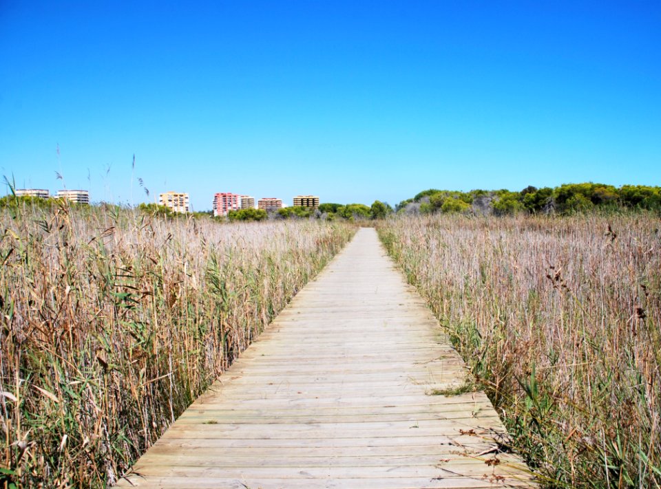 Sky Path Wetland Prairie