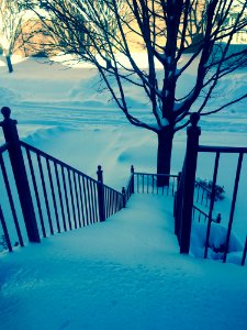 Blue Winter Snow Nature