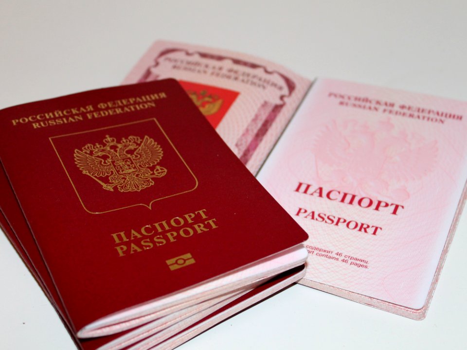 Passport Identity Document Brand