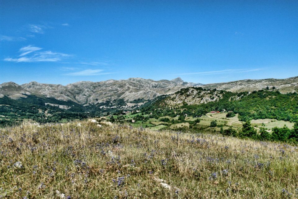 Ecosystem Wilderness Sky Vegetation