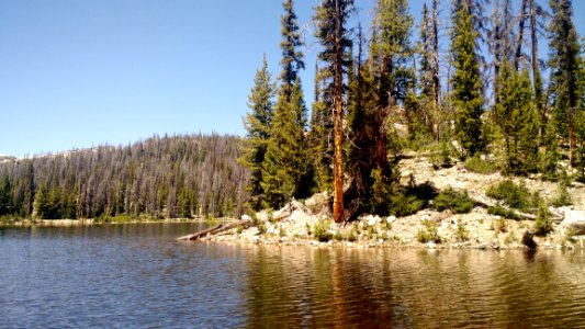 Water Lake Wilderness Ecosystem photo