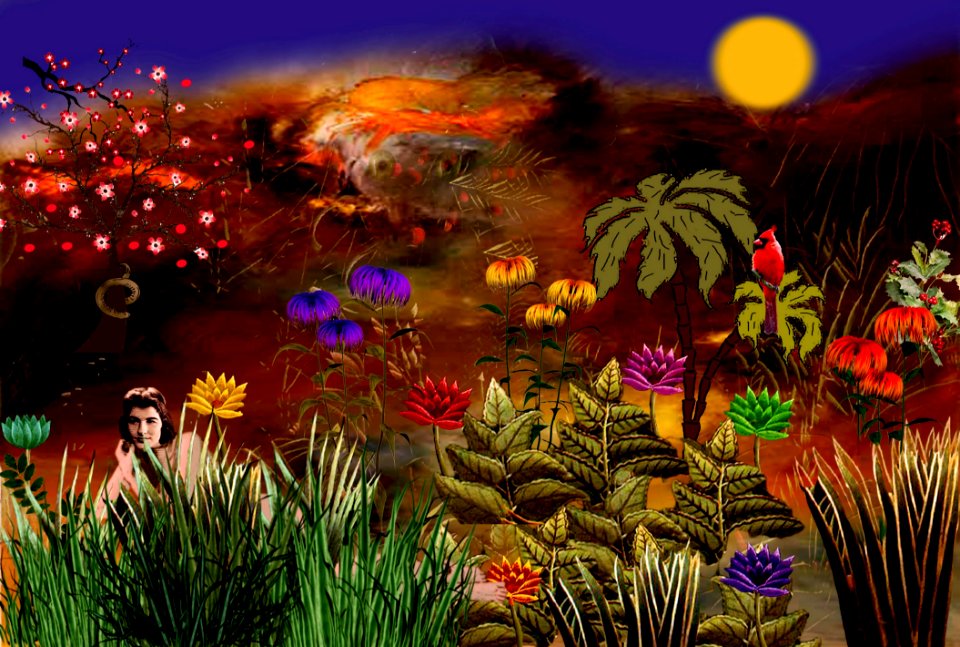 Nature Ecosystem Plant Vegetation