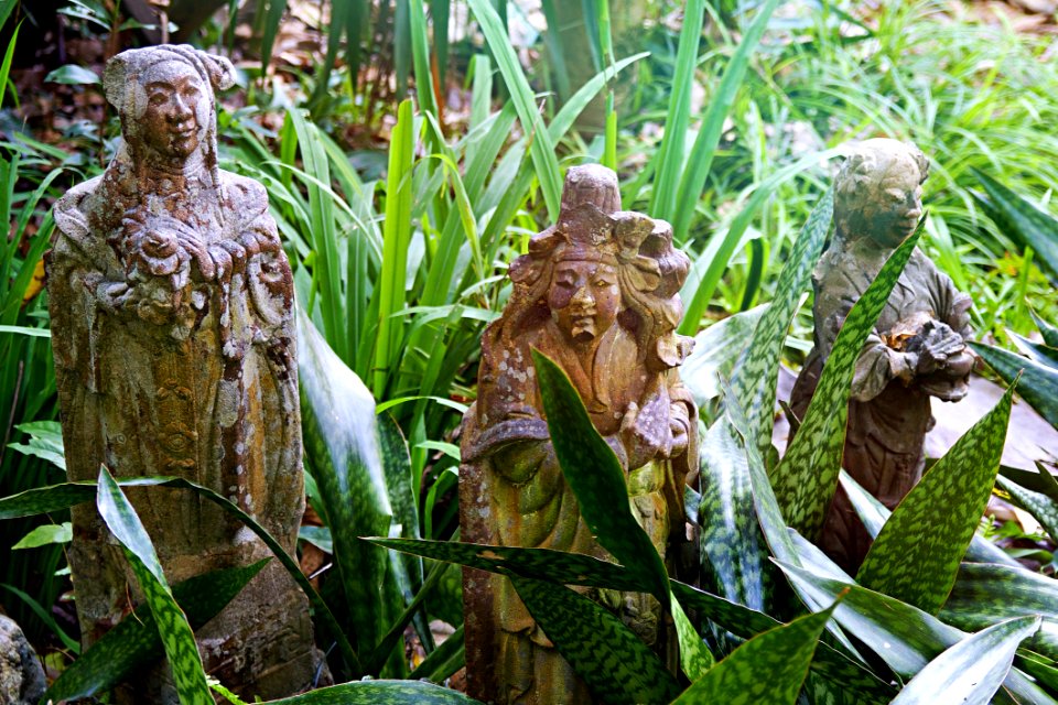 Plant Grass Tree Statue