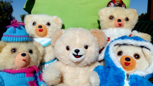 Stuffed Toy Teddy Bear Toy Plush