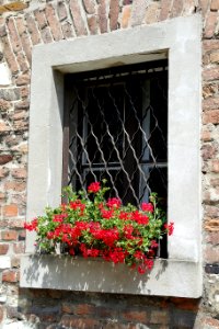 Flower Window Wall Facade