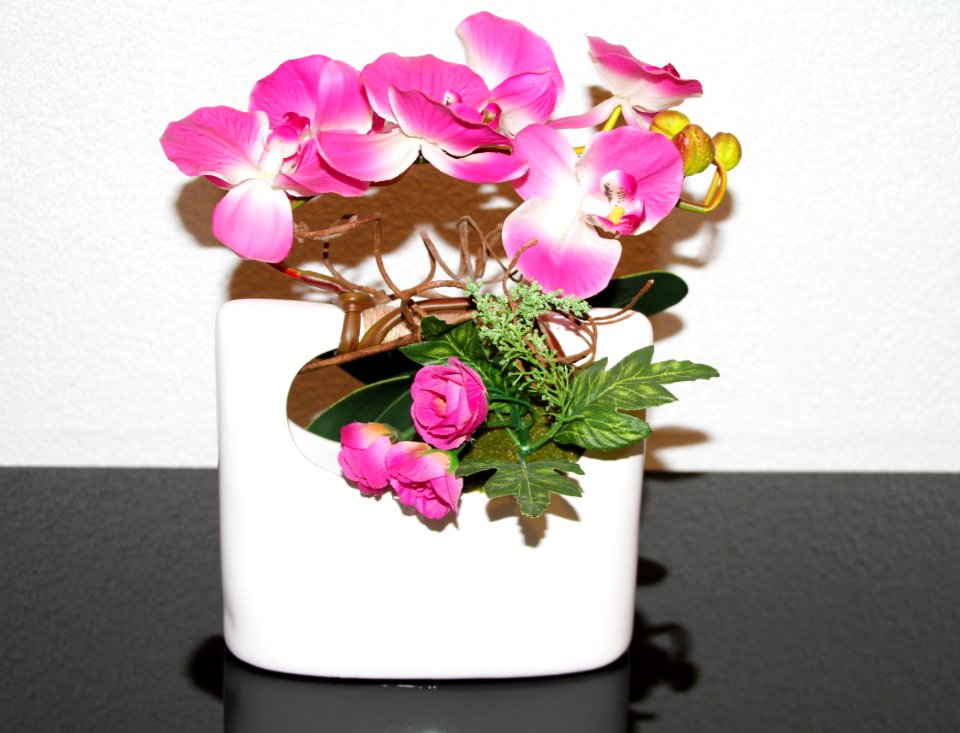 Flower Flowering Plant Plant Flowerpot