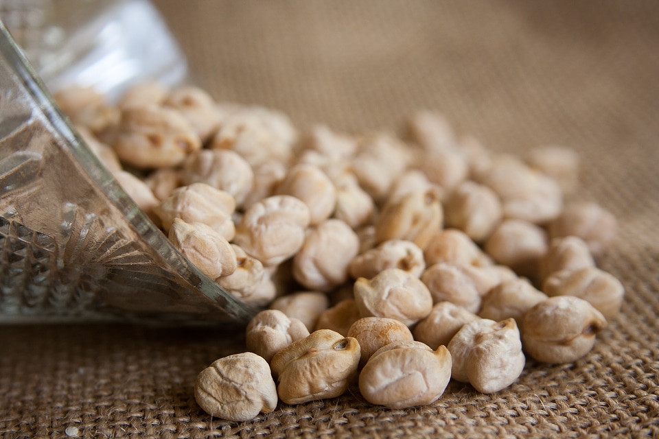 Legumes pulses vegetarian