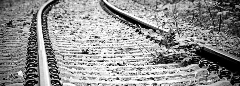 Track Black And White Monochrome Photography Photography