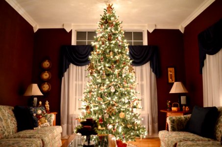 Christmas Tree Christmas Decoration Living Room Home