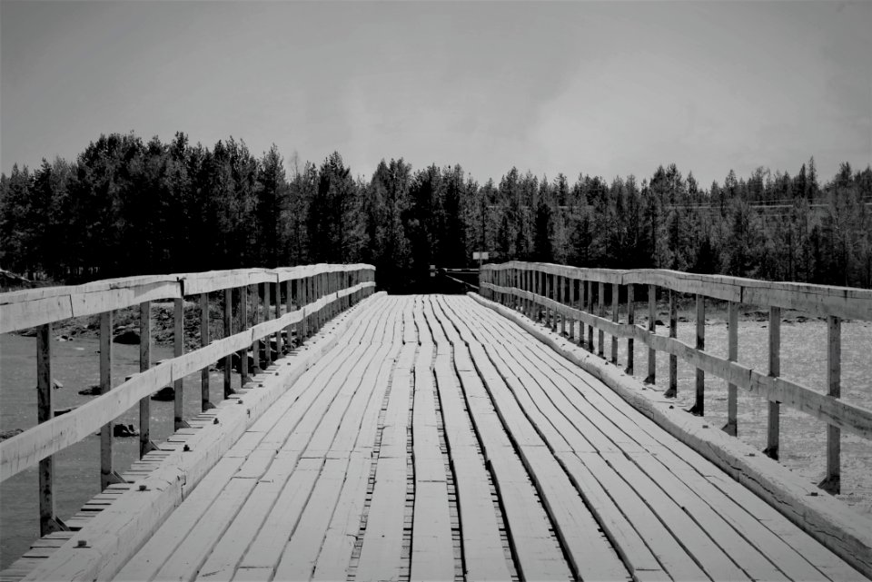 White Black Black And White Monochrome Photography
