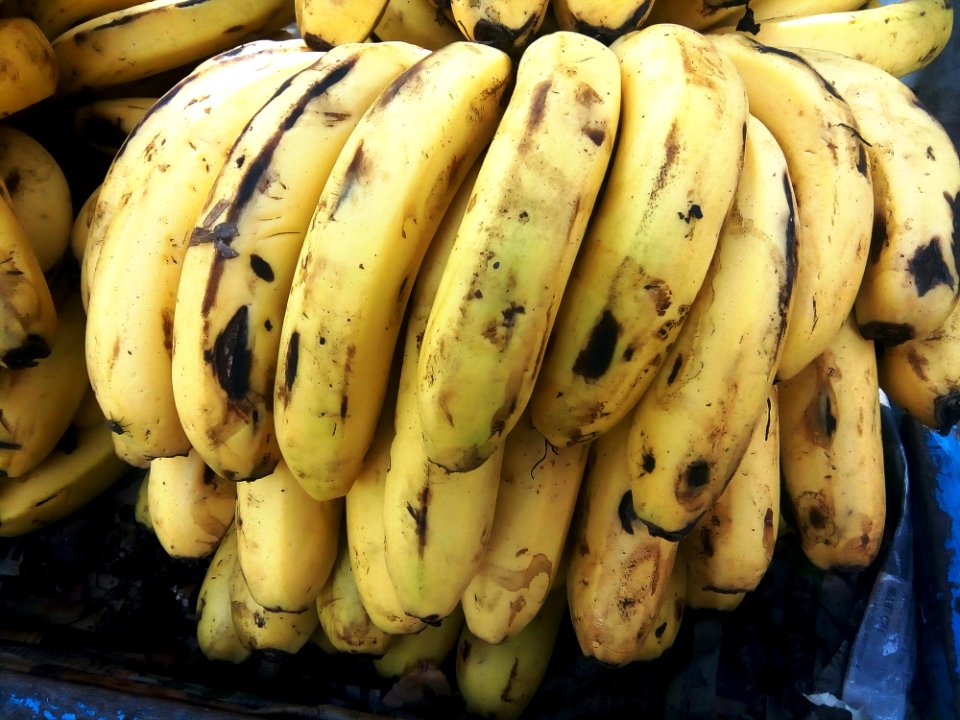 Banana Banana Family Food Produce