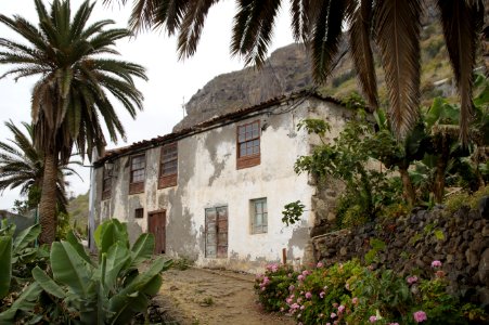 Property Arecales Palm Tree Hacienda photo