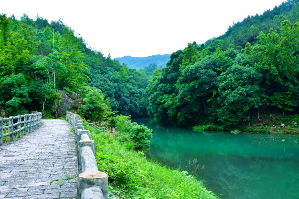 Vegetation Nature Nature Reserve Water Resources