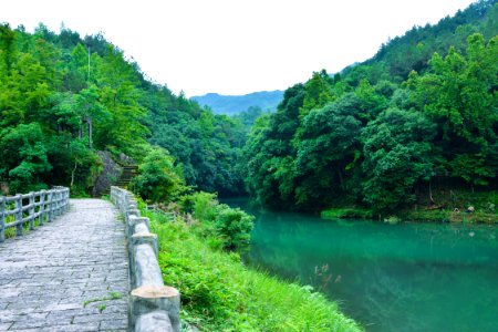 Vegetation Nature Nature Reserve Water Resources photo