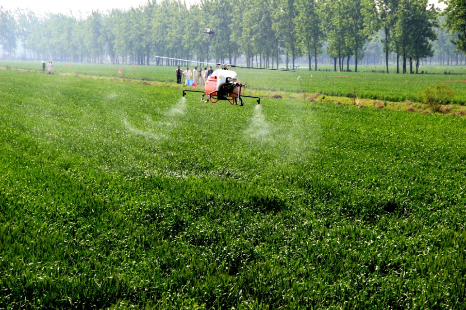 Grassland Field Agriculture Grass