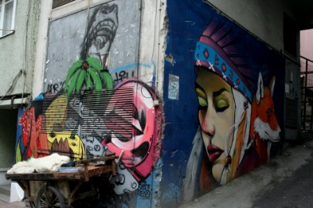 Street Art Art Graffiti Mural photo