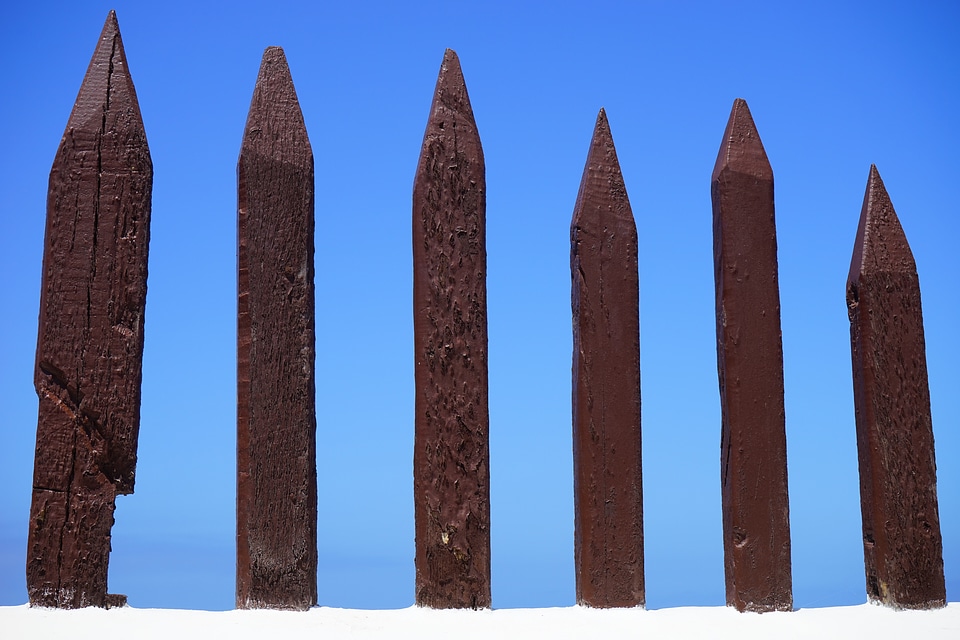 Demarcation wood pole fence
